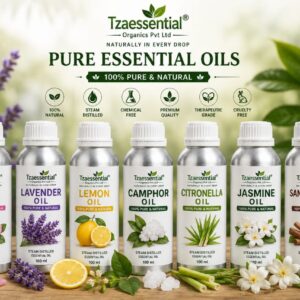 Essential - Spice - Carrier Oil - 100 ml