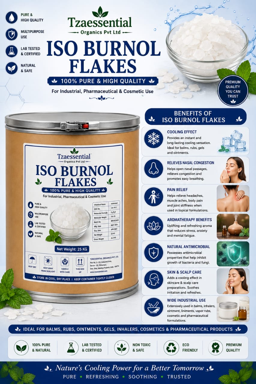 Isoborneol Flakes 25 KG