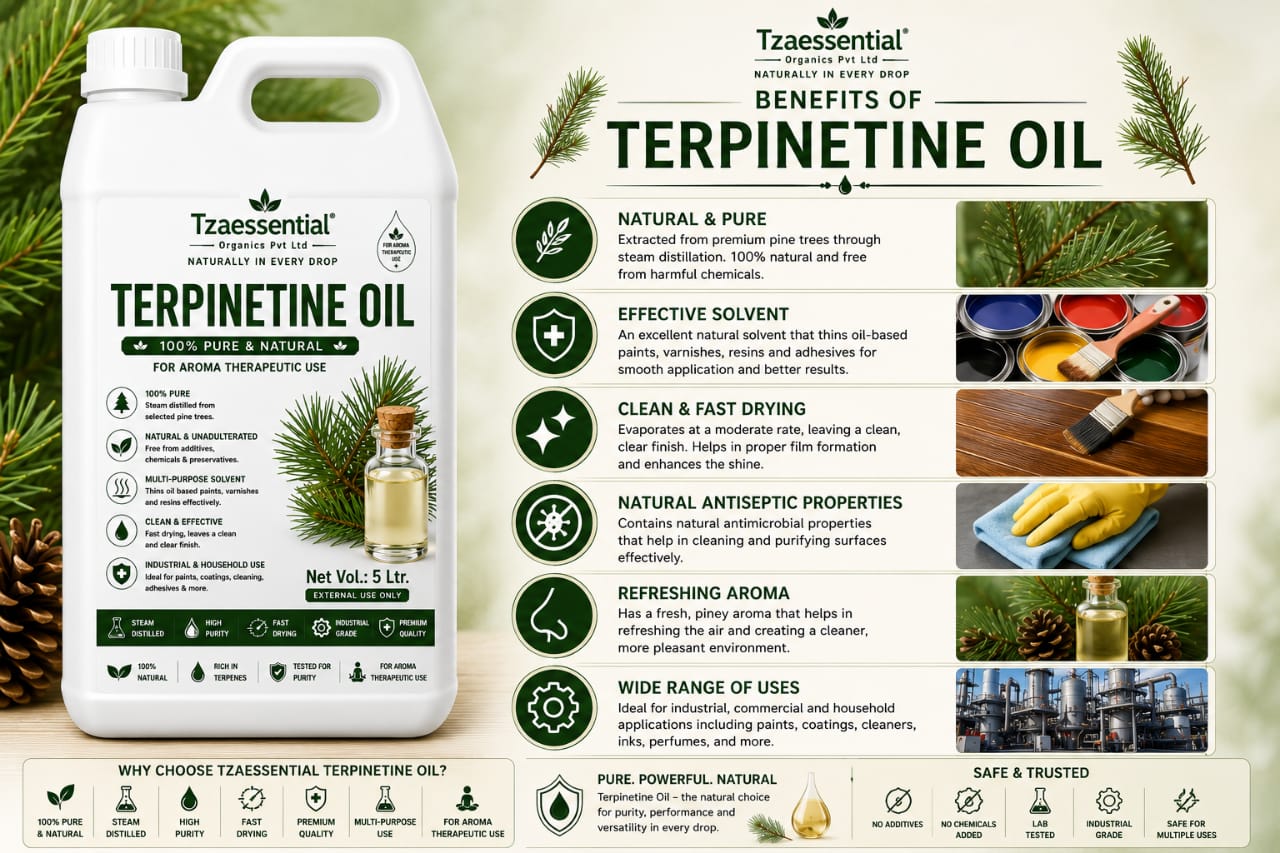 TURPENTINE OIL 5 LTR